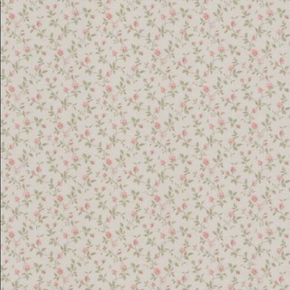 meet your posher, hailey ୨୧⋆｡˚ ⋆